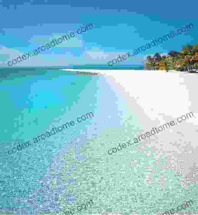 A Beautiful Beach With White Sand And Clear Blue Water. Beach Photo Book: Photos Of Beaches Picture For Kids And More Great For Pain Relief Like Dementia And Alzheimer