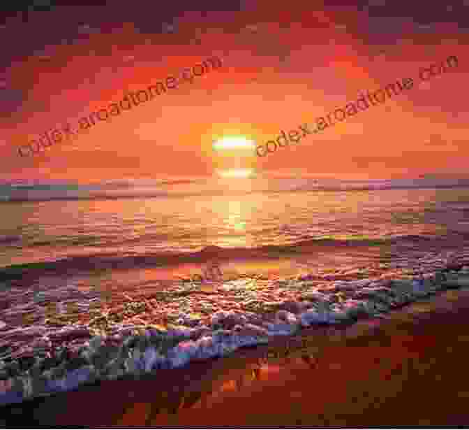 A Beautiful Sunset Over The Beach. Beach Photo Book: Photos Of Beaches Picture For Kids And More Great For Pain Relief Like Dementia And Alzheimer