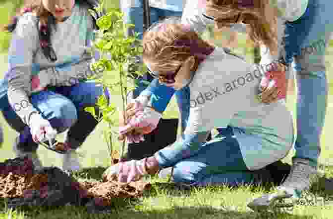 A Group Of Volunteers Plant Trees In A Temperate Forest As Part Of A Conservation Effort. Do You Really Want To Visit A Temperate Forest? (Do You Really Want To Visit ?)