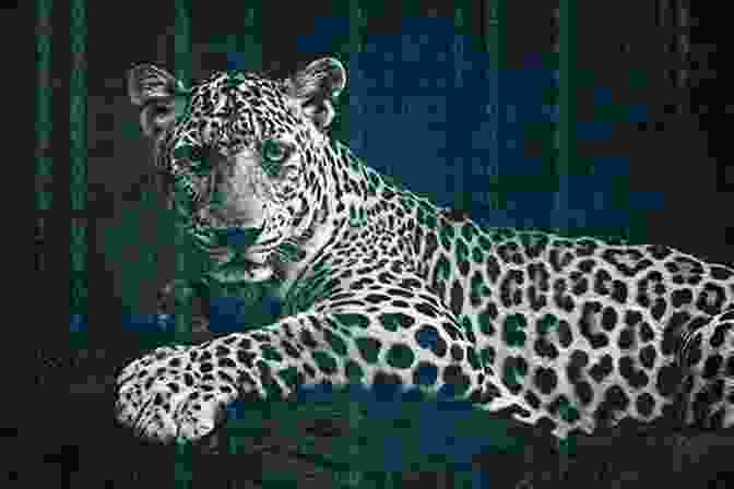 A Leopard With Spots Changing To A Different Design, Symbolizing Transformation How The Leopard Changed Its Spots: The Evolution Of Complexity (Princeton Science Library 113)