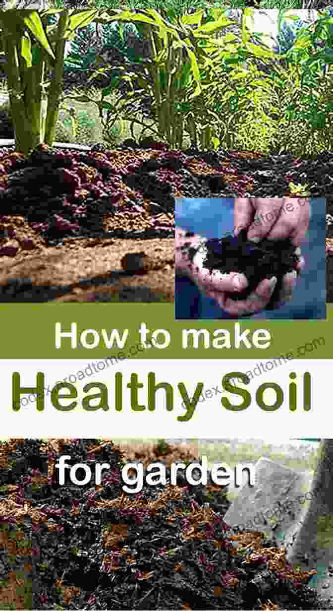 A Lush And Vibrant Prairie Garden With Healthy Soil Teeming With Life The Prairie Gardener S Go To For Soil (Guides For The Prairie Gardener 5)