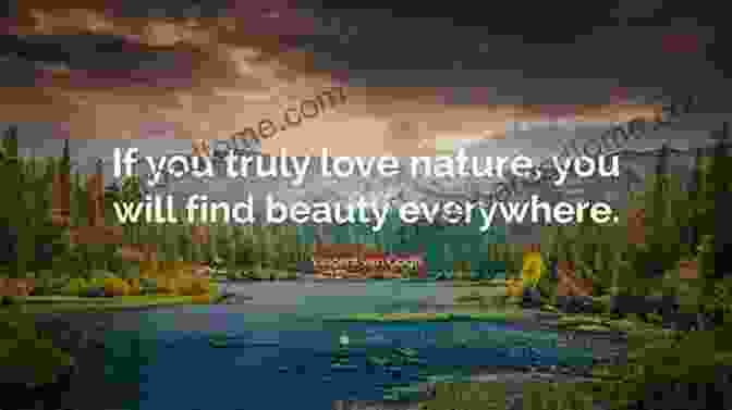 A Person Finding Inspiration In The Beauty Of Nature Love Does Study Guide: Discover A Secretly Incredible Life In An Ordinary World