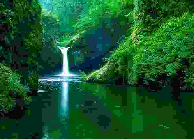 A Serene Forest Scene With A Waterfall And Lush Greenery My Name Is Sally Little Song