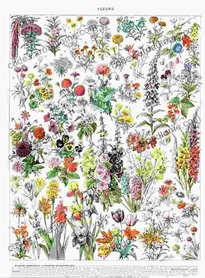 A Vibrant Botanical Painting By Emma Brandon Gilta, Depicting A Variety Of Flowers And Plants. Emma Brandon Gilta