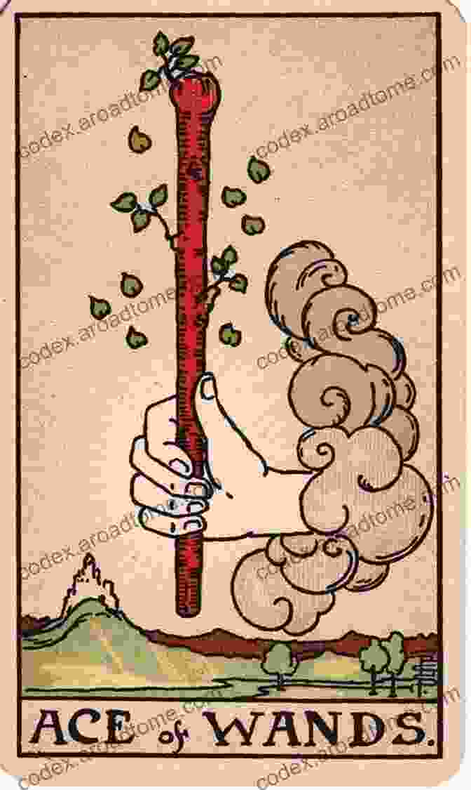 Ace Of Wands Tarot Card Learn Tarot Cards Quickly: Suit Of Wands