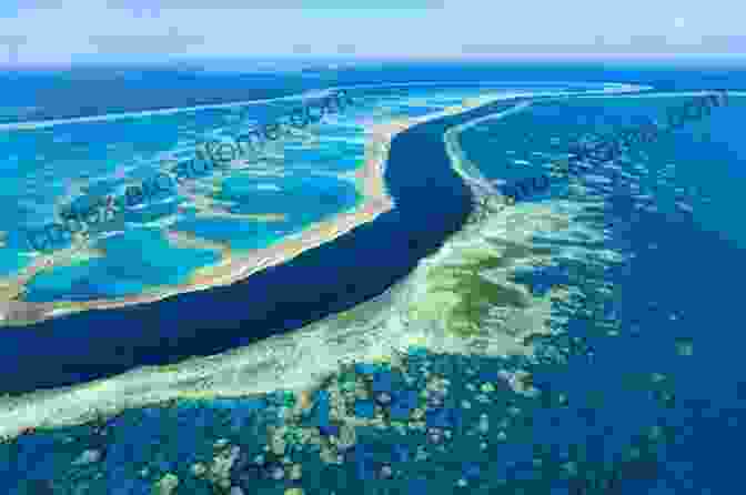 An Aerial View Of The Great Barrier Reef, Showcasing Its Vibrant Colors And Intricate Patterns. For The Love Of The Land (Queensland Chronicles #2): A Novel