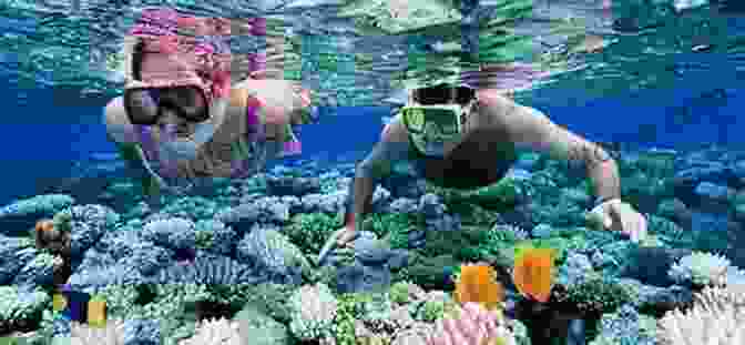 An Image Of A Couple Snorkeling In The Clear Waters Of The Andaman Islands Andamans: The Land Of Blissful Serenity