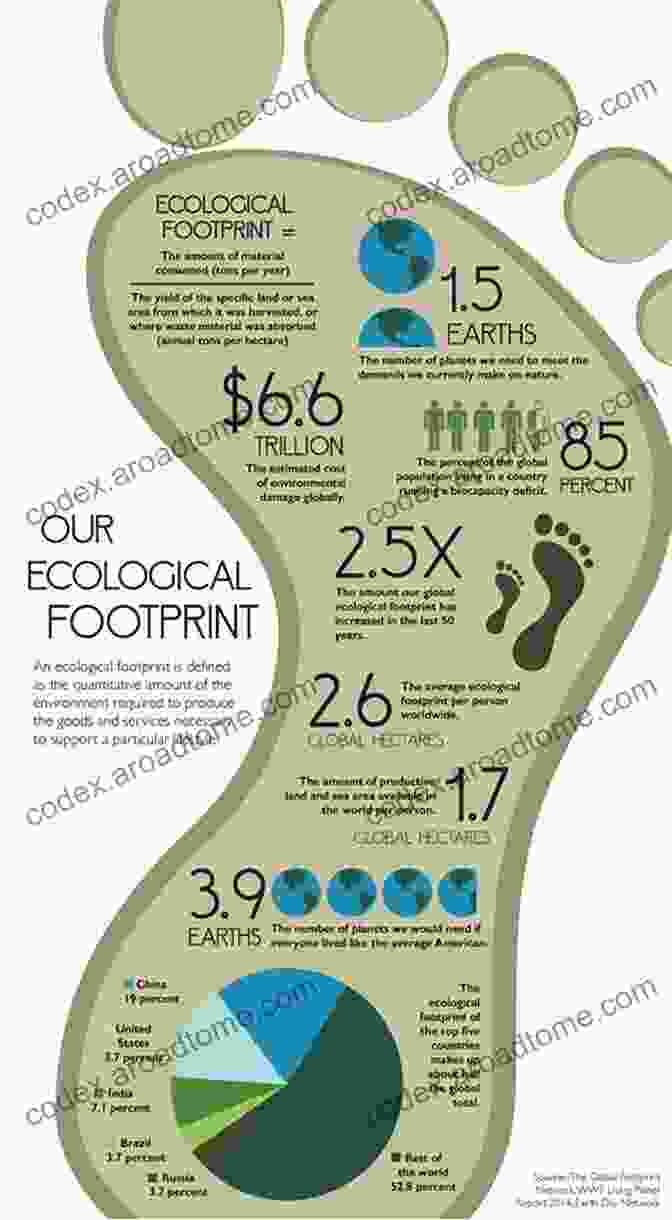 Assessing Your Sustainability Footprint Making Business Survive And Thrive: 3 Steps To Secure Sustainability