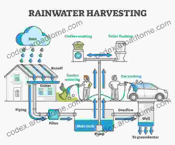 Community Using Rainwater Harvesting For Agriculture Rainwater Harvesting For Drylands And Beyond Volume 2 2nd Edition: Water Harvesting Earthworks