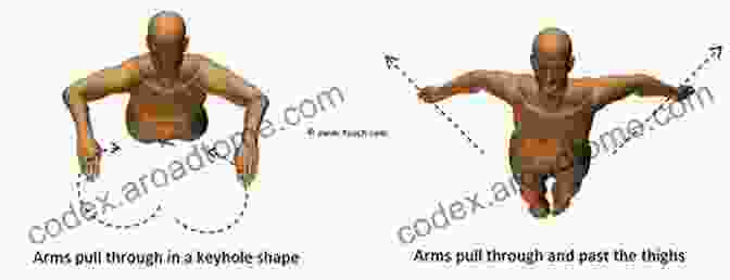 Diagram Of The Arm Pull For The Butterfly Stroke How To Butterfly Step By Step