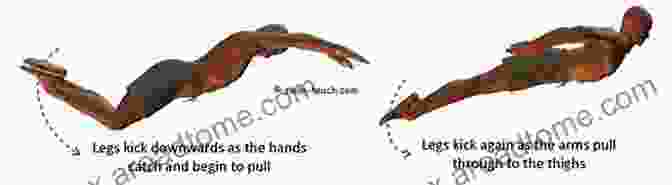 Diagram Of The Breathing Pattern For The Butterfly Stroke How To Butterfly Step By Step