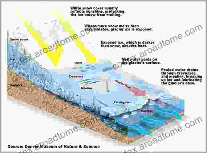 Diagram Showing The Formation Of Glaciers From Snow Accumulation And Compaction Glaciers: Discover Pictures And Facts About Glaciers For Kids A Children S Earth Sciences