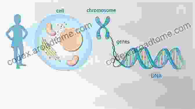 Genetic Counseling The Gene Machine: How Genetic Technologies Are Changing The Way We Have Kids And The Kids We Have