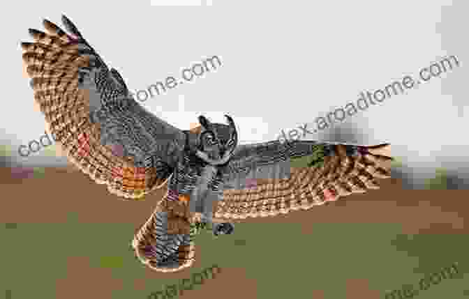 Great Horned Owl In Flight Against A Starry Night Sky Owls A No Text Picture Book: A Calming Gift For Alzheimer Patients And Senior Citizens Living With Dementia (Soothing Picture For The Heart And Soul 21)