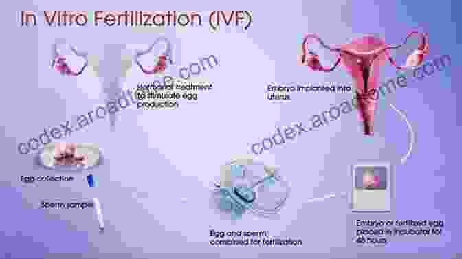 In Vitro Fertilization (IVF) The Gene Machine: How Genetic Technologies Are Changing The Way We Have Kids And The Kids We Have