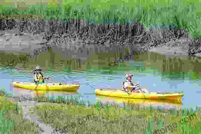 Kayakers Paddling Through A Marsh Curiosities Of Hampton Roads: Ghostly Colonists Hidden Crypts The Black Swan Of Westover And More