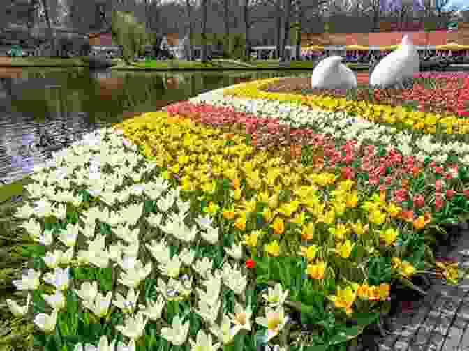 Keukenhof Flower Gardens A Photographer S Guide To The Netherlands