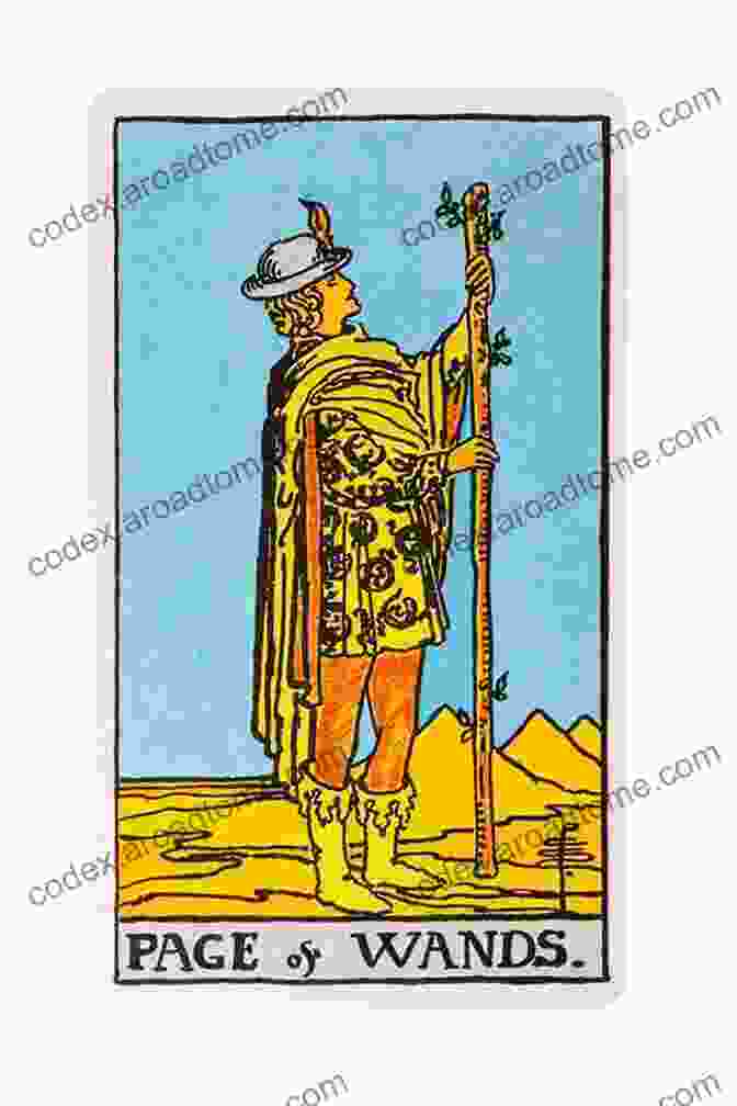 Page Of Wands Tarot Card Learn Tarot Cards Quickly: Suit Of Wands