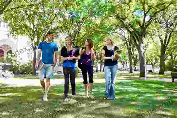 People Socializing At A Park Discovery Through Activity: Ideas And Resources For Applying Recovery Through Activity In Practice