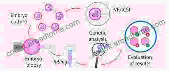 Preimplantation Genetic Diagnosis (PGD) The Gene Machine: How Genetic Technologies Are Changing The Way We Have Kids And The Kids We Have