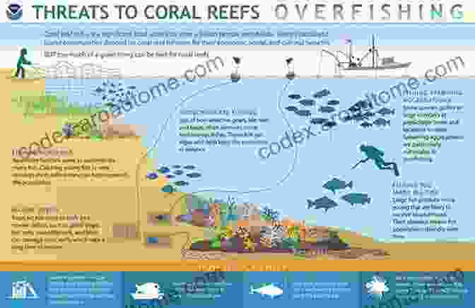 Satellite Image Of The Earth Showing Human Impacts On Aquatic Systems, Including Pollution, Overfishing, And Habitat Loss. The Silicon Cycle: Human Perturbations And Impacts On Aquatic Systems (Scientific Committee On Problems Of The Environment (SCOPE) 66)