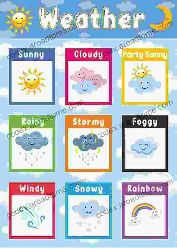 The Weather: An Educational Weather For Kids Book Cover With A Vibrant Weather Themed Illustration THE WEATHER An Educational Weather For Kids