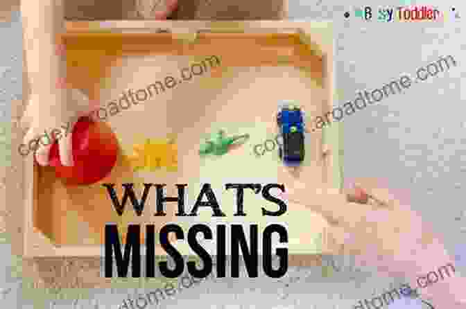 What's Missing? Learning Activity Book What S Missing: Faces: A Toddler Learning Activity (What S Missing? 1)