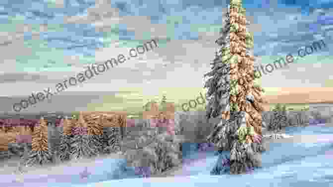 Winter Landscape With Snow Covered Trees Seasons Of A Magical Life: A Pagan Path Of Living