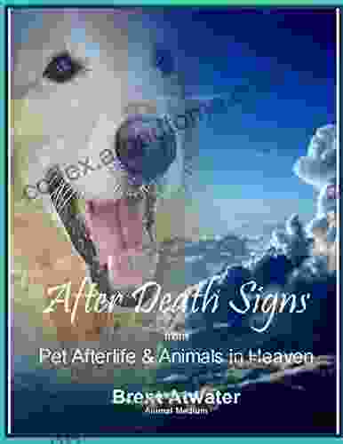 After Death Signs From Pet Afterlife And Animals In Heaven: How To Ask For Signs And Visits And What They Mean