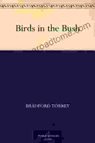 Birds In The Bush Bradford Torrey