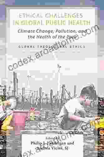 Ethical Challenges In Global Public Health: Climate Change Pollution And The Health Of The Poor (Global Theological Ethics)