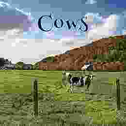 Cows A No Text Picture Book: A Calming Gift For Alzheimer Patients And Senior Citizens Living With Dementia (Soothing Picture For The Heart And Soul 71)