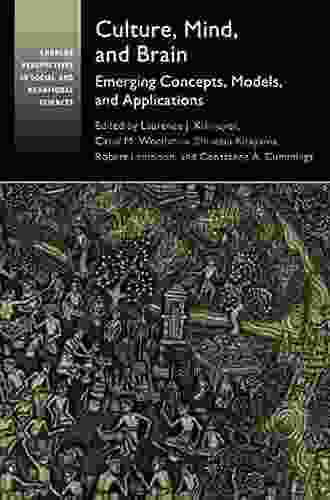 Culture Mind and Brain: Emerging Concepts Models and Applications (Current Perspectives in Social and Behavioral Sciences)