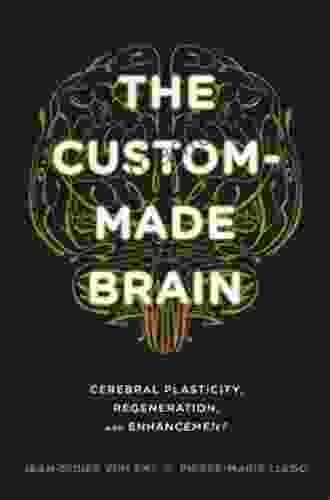 The Custom Made Brain: Cerebral Plasticity Regeneration And Enhancement