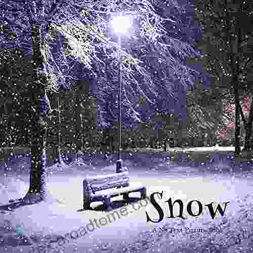 Snow A No Text Picture Book: A Calming Gift For Alzheimer Patients And Senior Citizens Living With Dementia (Soothing Picture For The Heart And Soul 76)