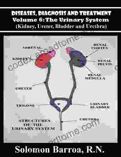 Diseases Diagnosis and Treatment (The Urinary System 6)