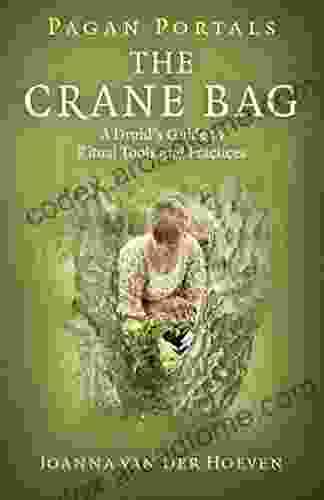 Pagan Portals: The Crane Bag: A Druid S Guide To Ritual Tools And Practices