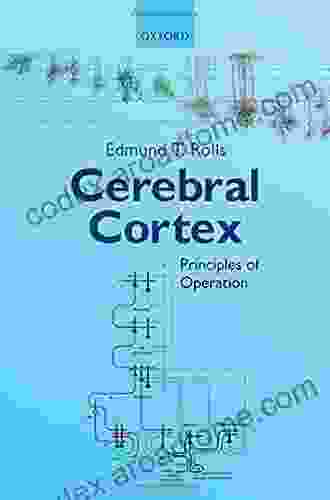 Cerebral Cortex: Principles Of Operation