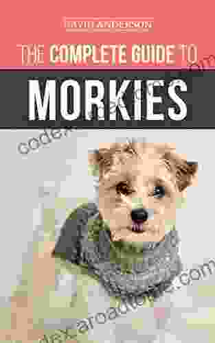 The Complete Guide To Morkies: Everything A New Dog Owner Needs To Know About The Maltese X Yorkie Dog Breed