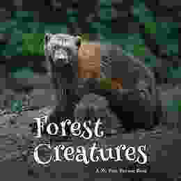 Forest Creatures A No Text Picture Book: A Calming Gift For Alzheimer Patients And Senior Citizens Living With Dementia (Soothing Picture For The Heart And Soul 67)