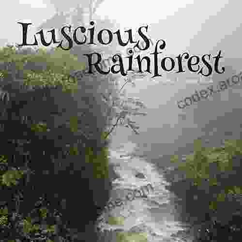 Luscious Rainforest A No Text Picture Book: A Calming Gift For Alzheimer Patients And Senior Citizens Living With Dementia (Soothing Picture For The Heart And Soul 74)