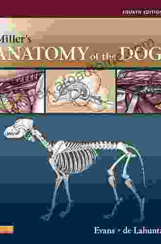 Miller S Anatomy Of The Dog E