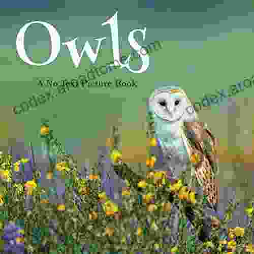 Owls A No Text Picture Book: A Calming Gift For Alzheimer Patients And Senior Citizens Living With Dementia (Soothing Picture For The Heart And Soul 21)