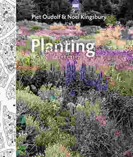 Planting: A New Perspective Piet Oudolf