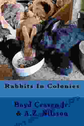 Rabbits In Colonies (The Urban Rabbit Project 3)