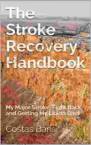 The Stroke Recovery Handbook: My Major Stroke Fight Back And Getting My Libido Back