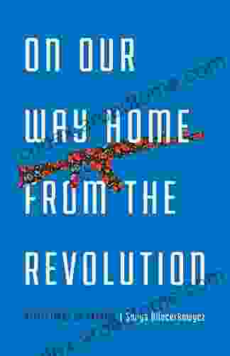 On Our Way Home From The Revolution: Reflections On Ukraine (21st Century Essays)