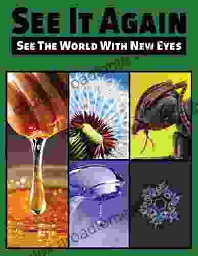 See It Again: See The World With New Eyes (For Adults With Dementia And Other Life Challenges 6)