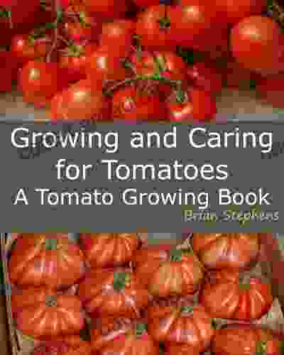 Growing and Caring for Tomatoes: An Essential Tomato Growing