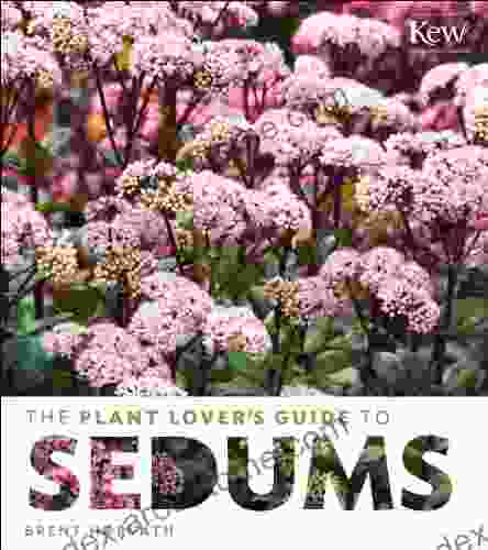 The Plant Lover S Guide To Sedums (The Plant Lover S Guides)